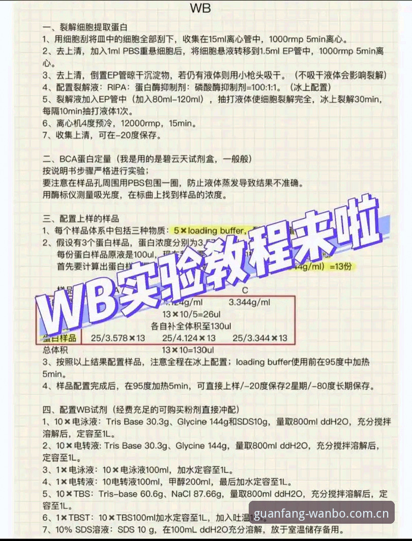万博全站官网登录官方下载 WBQZ下载安装vs万博全站App注册:新手入门对比指南,官网登录官方下载一步到位